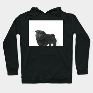 Hugo The black Pug - Hoodie